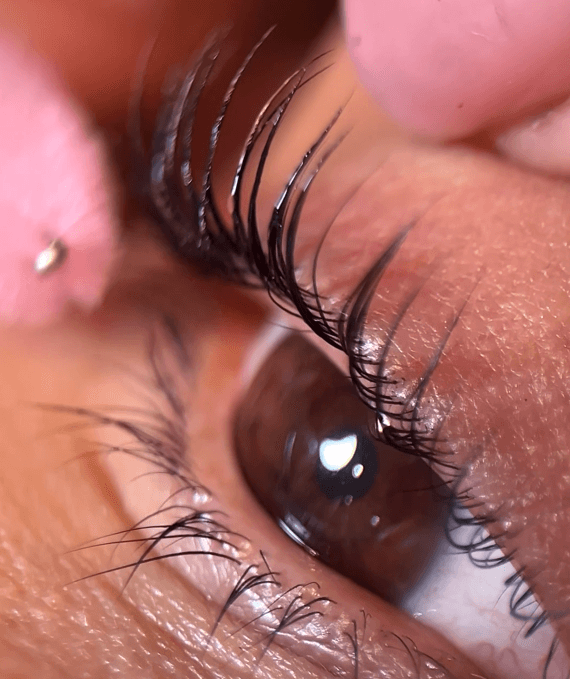 Pink Flash Lash Lift Panda Pads – Moldes de Silicona Premium - 4