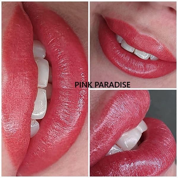 Hybrid Lip Pigments 6ml – AS Company - 13