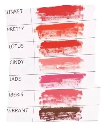 Kit Nuance Pigmentos Labiales Orgánico - 5