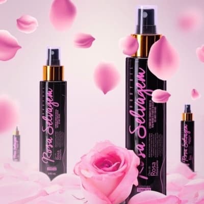 💥 IM TREND: Öl - Wilde Rose - VORBESTELLUNG📍